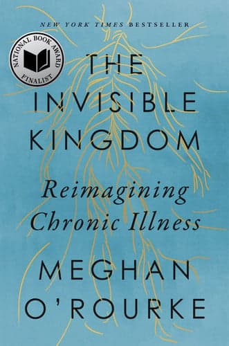 The Invisible Kingdom: Reimagining Chronic Illness