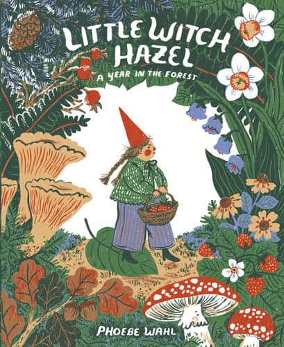 Little Witch Hazel: A Year in the Forest