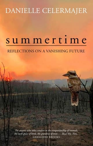 Summertime: Reflections on a vanishing future