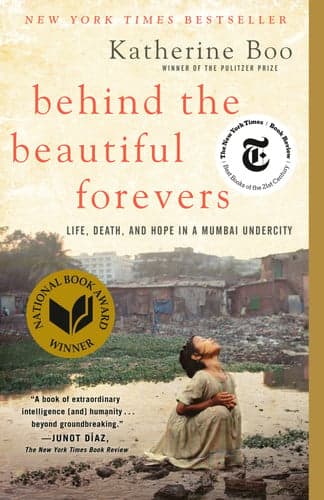 Behind the Beautiful Forevers