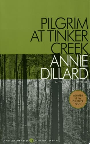 Pilgrim at Tinker Creek