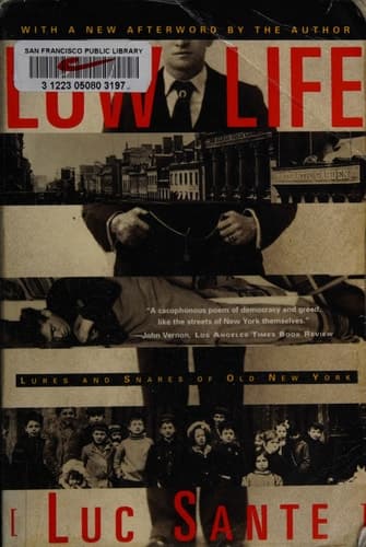 Low Life: Lures and Snares of Old New York